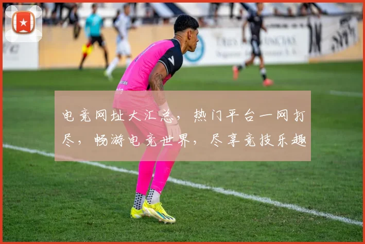 电竞网址大汇总，热门平台一网打尽，畅游电竞世界，尽享竞技乐趣，三网通，速来体验
